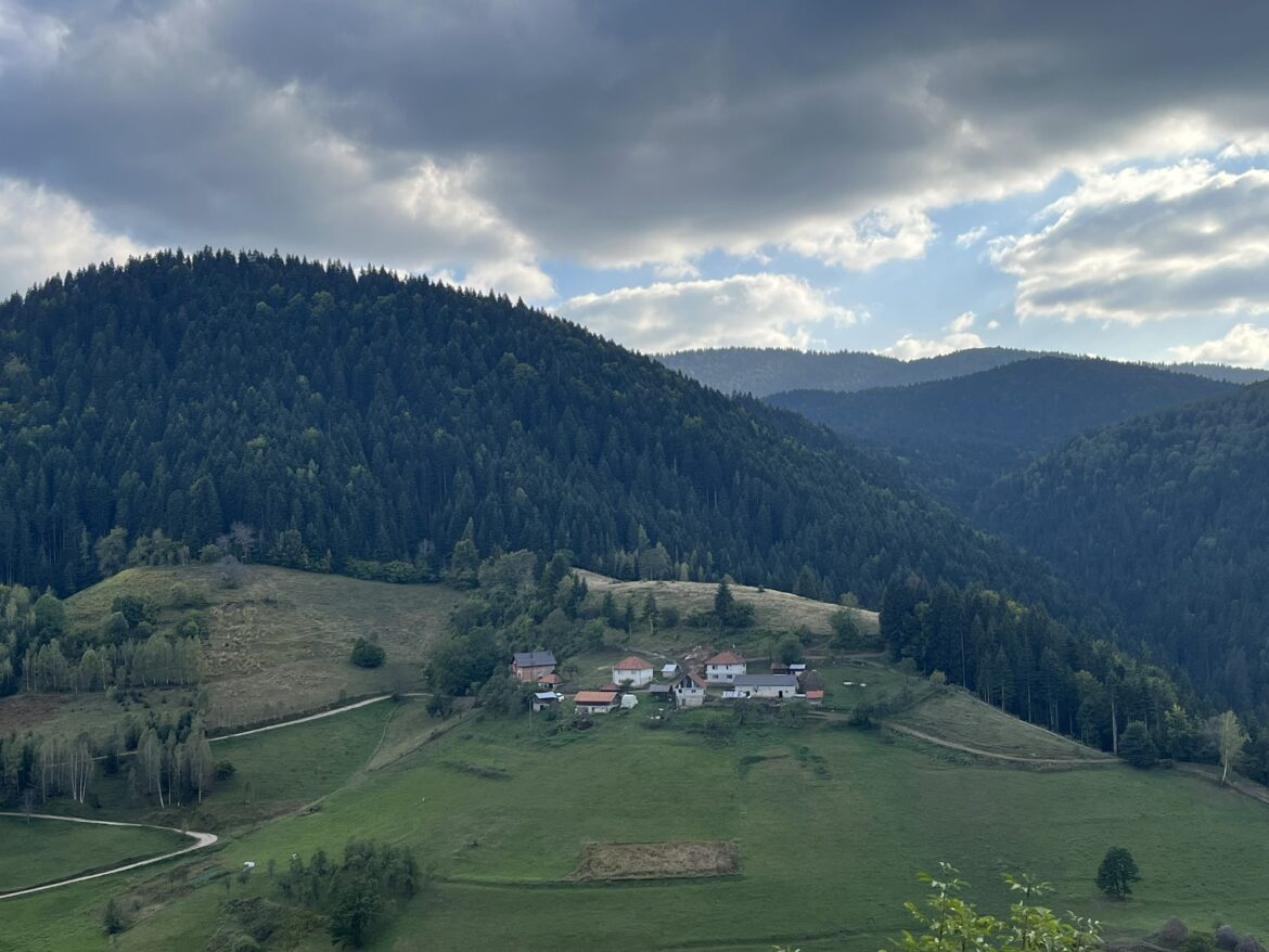 Foto Svetlana Stefanović