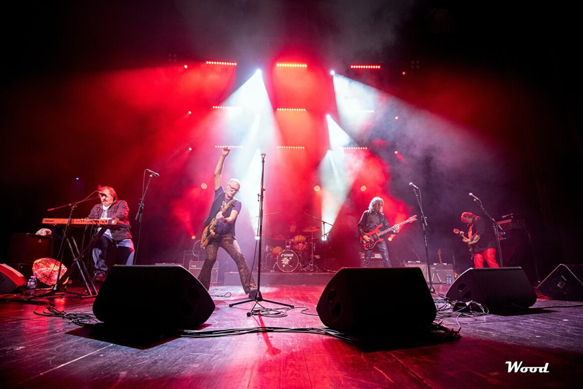 Elektricni orgazam Foto Wood